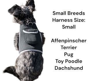 Remote Pet Surveillance Pet Tracker Waterproof Collar Mounted GPS for Pet Size:M Remote Pet Surveillance Pet Tracker Waterproof Collar Mounted GPS for Pet Size:M